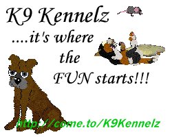 K9 Kennelz Site Advert
