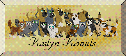 Kailyn Kennels Site Advert