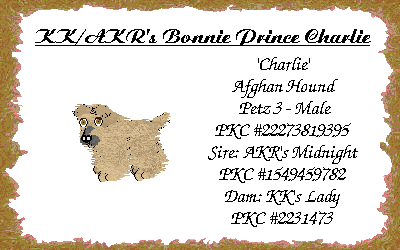 Puppy Dogz Registration